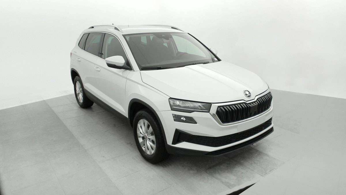 SKODA Karoq-image